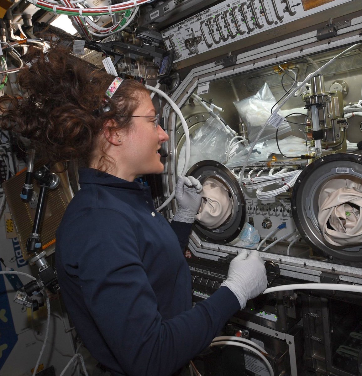 ella ⸆⸉ artemis ii era tweet media