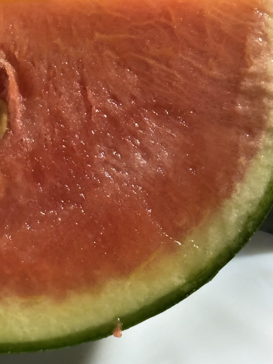 kkkk447297705's tweet photo. 🍉今年初のスイカ🍉

早くも小玉スイカ🍉😆
今年こそ目標は10玉🍉

タネが白かった🍉

美味しかった🍉

スイカ割りしたい🍉😁

#今日も良い日を https://t.co/a7aBLBIVyD