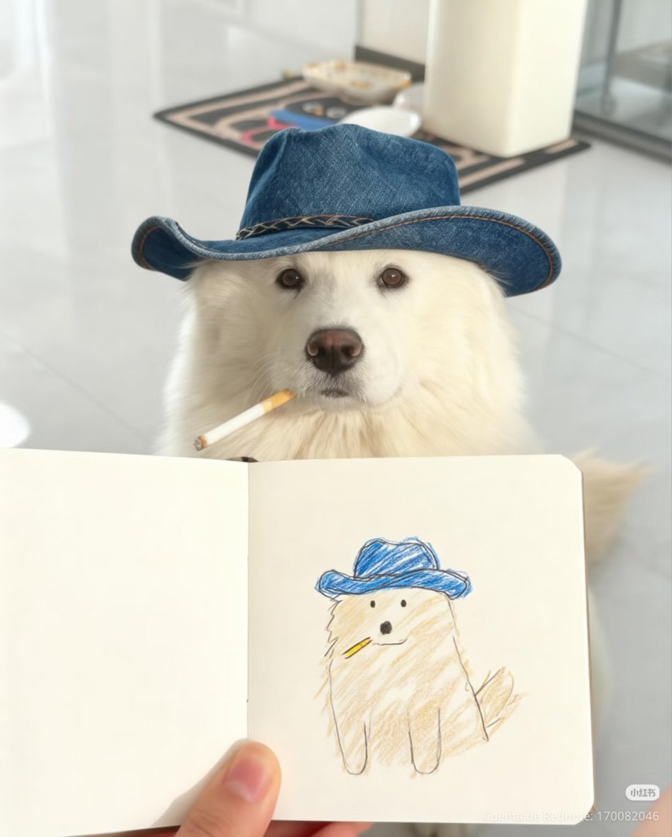 daily post tweet media