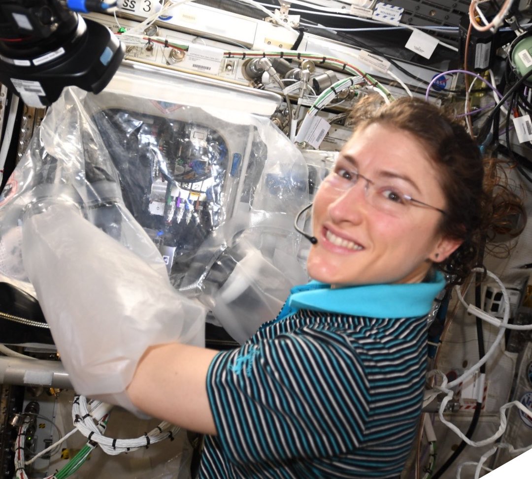 ella ⸆⸉ artemis ii era tweet media