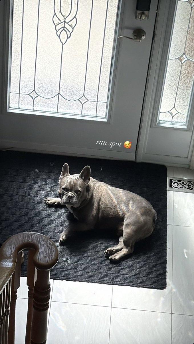 The photos he sends me of Lil baby Rambo he was watching for me to come back.