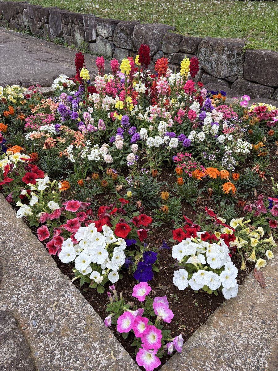 Wildflower🌺 tweet media