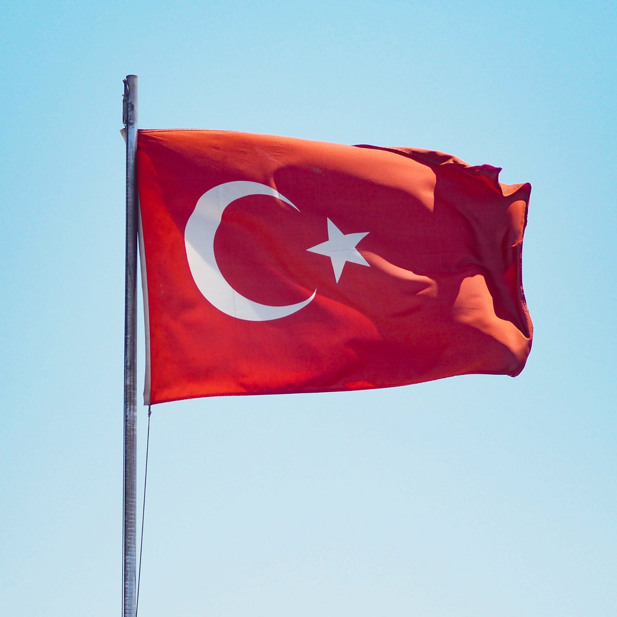 Haber tweet media