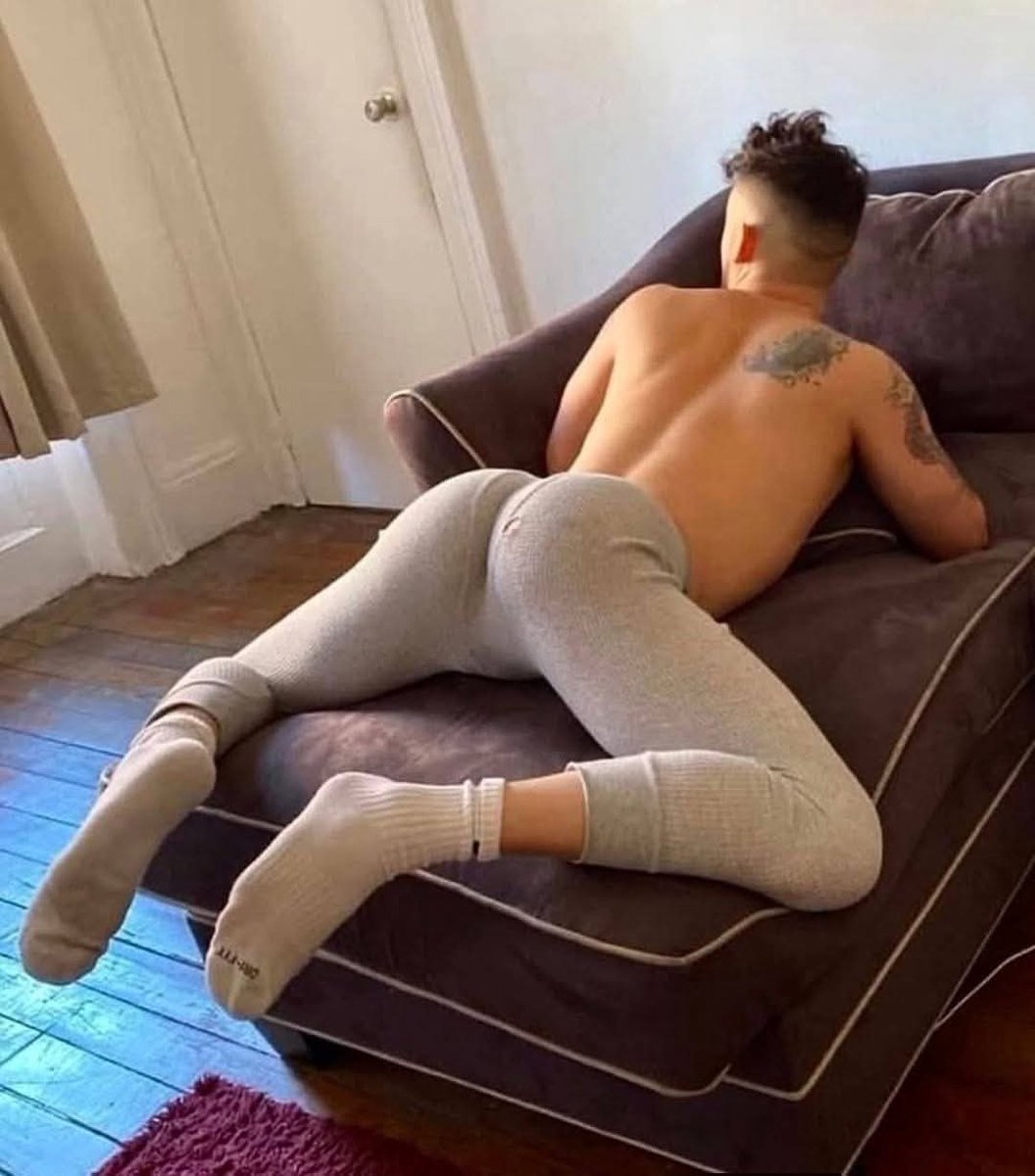 GUY 43K 🇦🇺🏳️‍🌈 tweet media