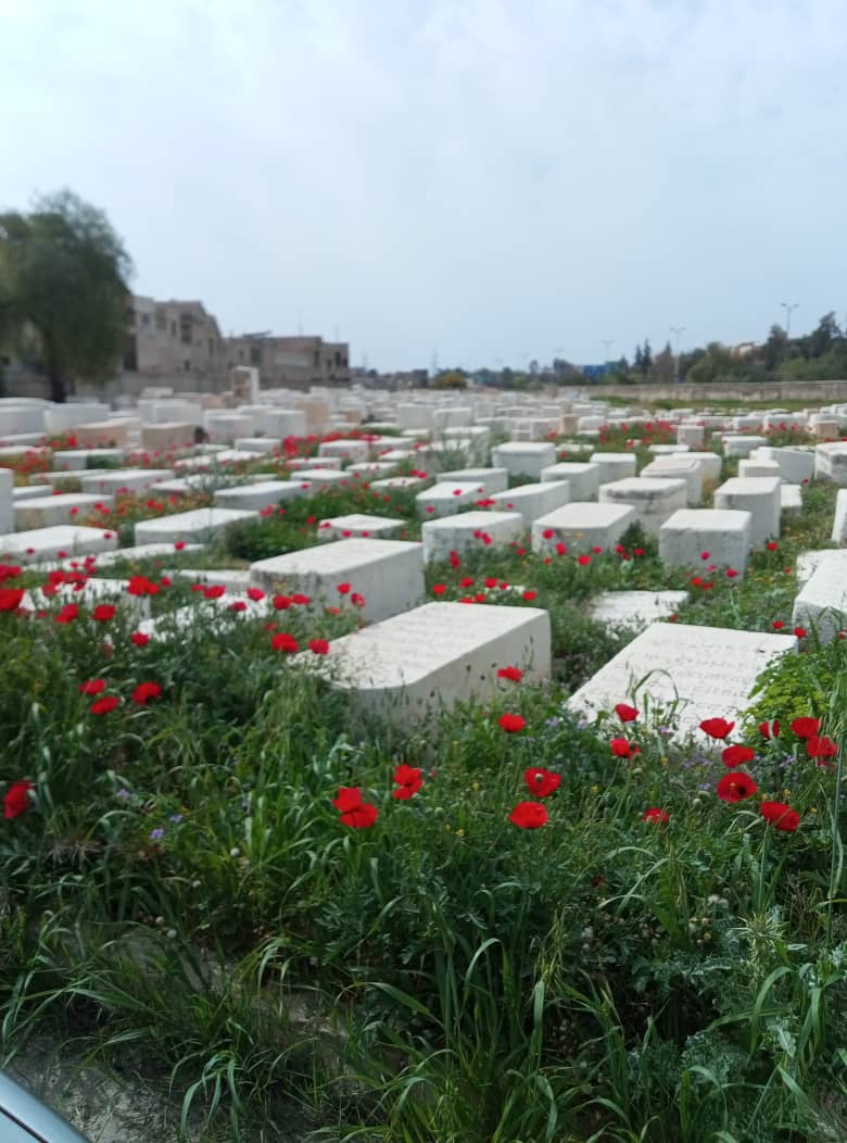 Jewish Heritage in Syria Foundation tweet media