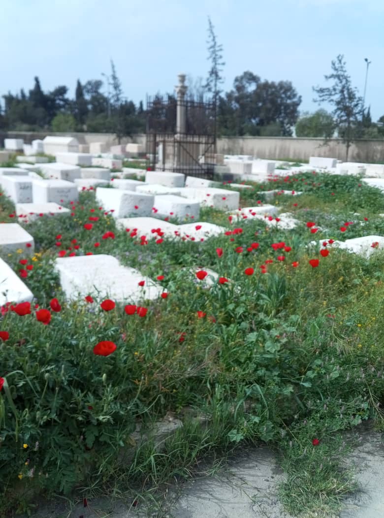 Jewish Heritage in Syria Foundation tweet media