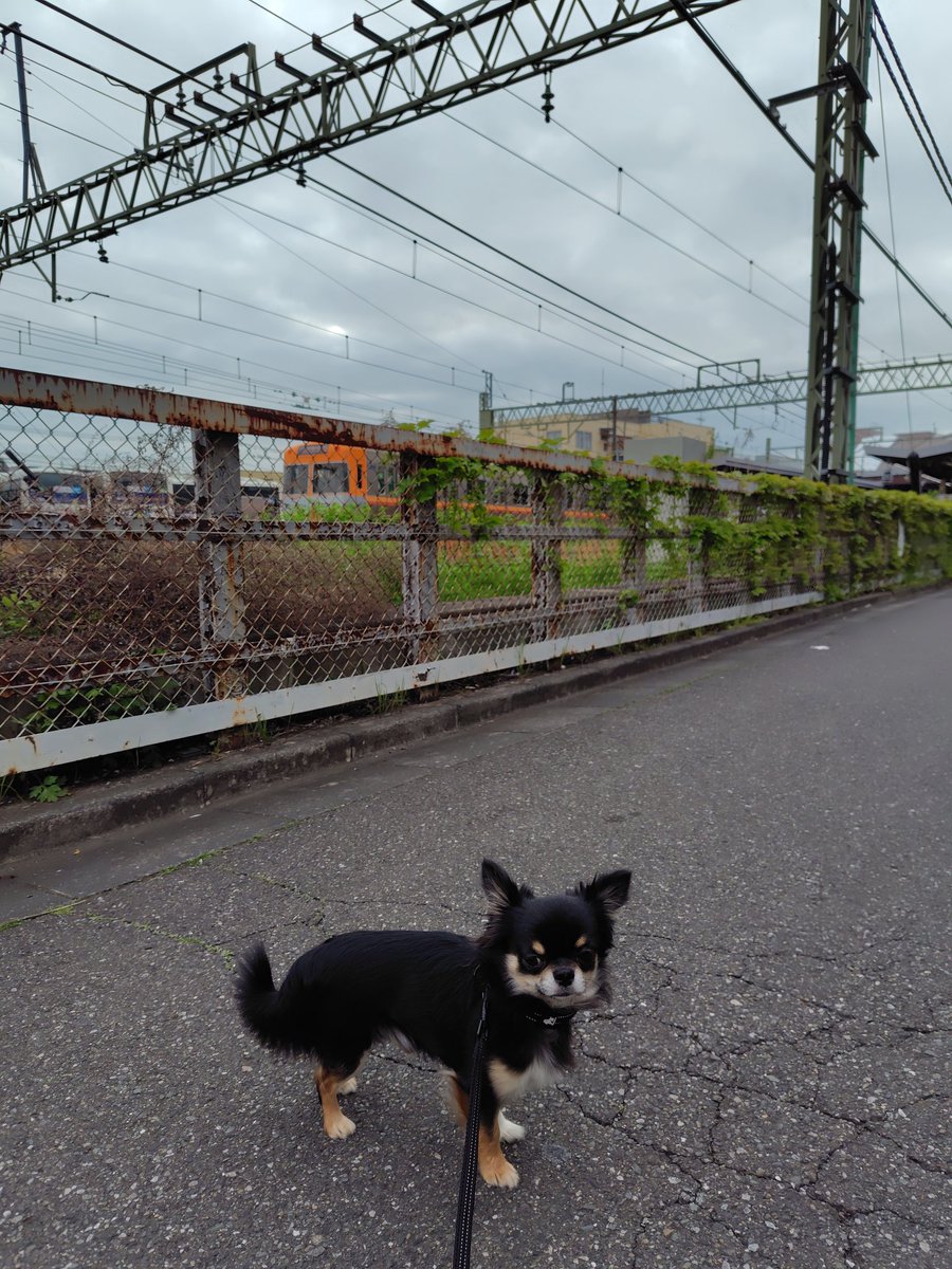 moriyakamijo tweet media