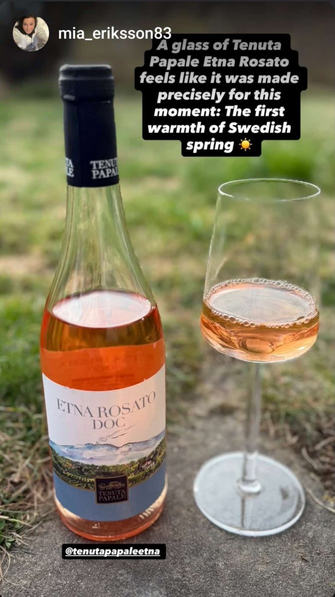 tenutapapale's tweet image. 🍷🫒 tenutapapale.com 🫒🍷
.
.
.
#tenutapapale #winery #winetastingsicily #sicilywine #vineyard #wineriesinsicily #winerysicily #bestwineriesinsicily #vineyardsicily #vineyardssicily #winetastingcatania #sicilyvineyards #winetasting #vineyardsinsicily #sicilywineries