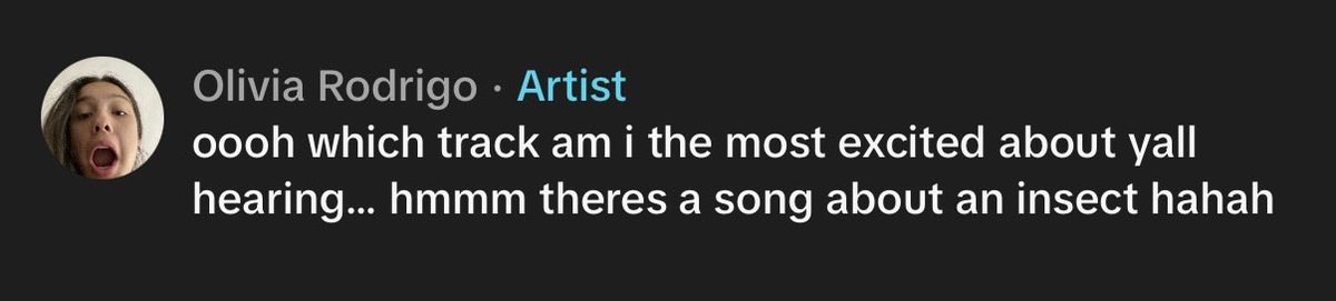 an insect…. i’m intrigued