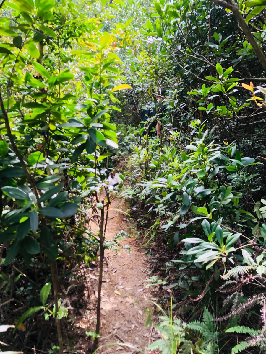 Carlos Radford tweet media