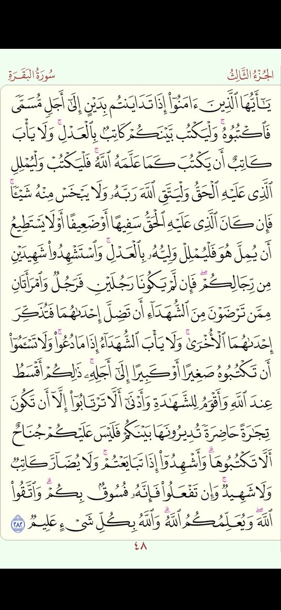ابوطلال💛🇸🇦 tweet media