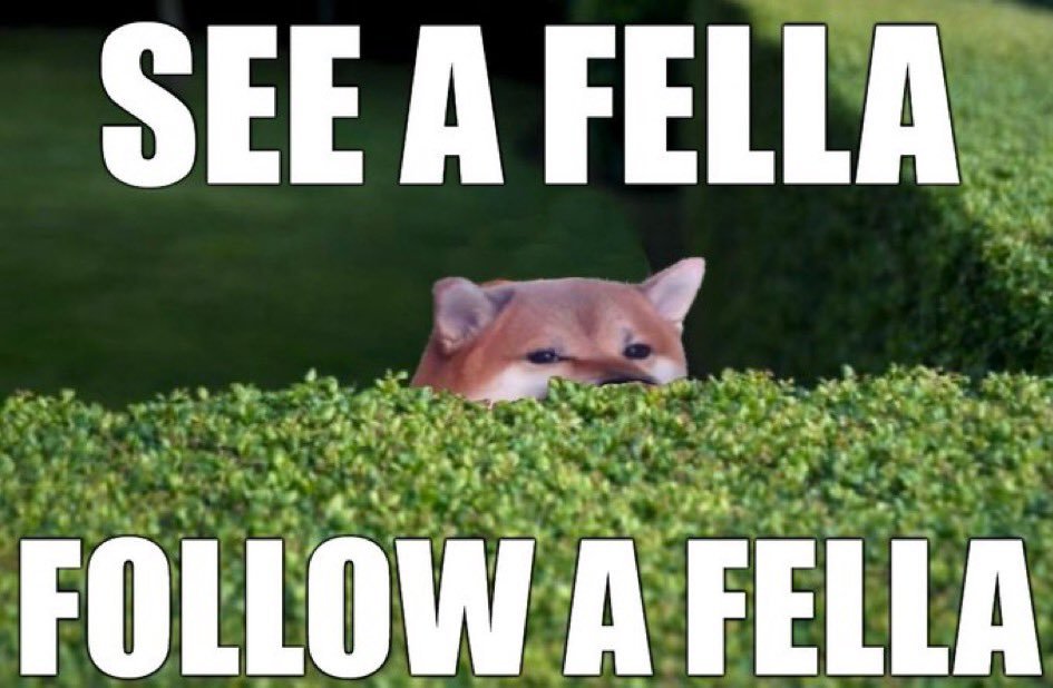 Cat Lady Fella 🇺🇸🇺🇦🇬🇧🏴󠁧󠁢󠁷󠁬󠁳󠁿🇮🇱🦈🛸 (@careyoncatlady) on Twitter photo 