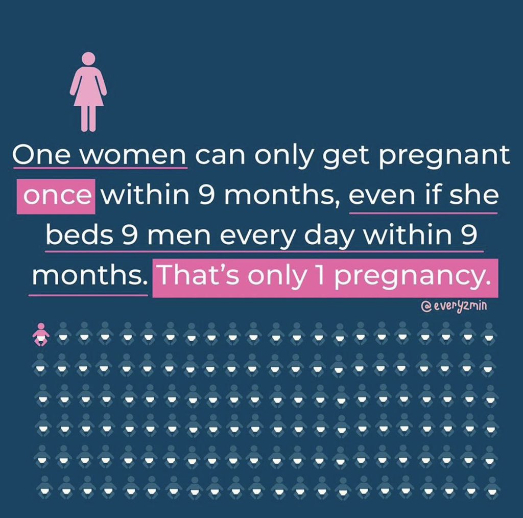 Zoya🕊️ tweet media