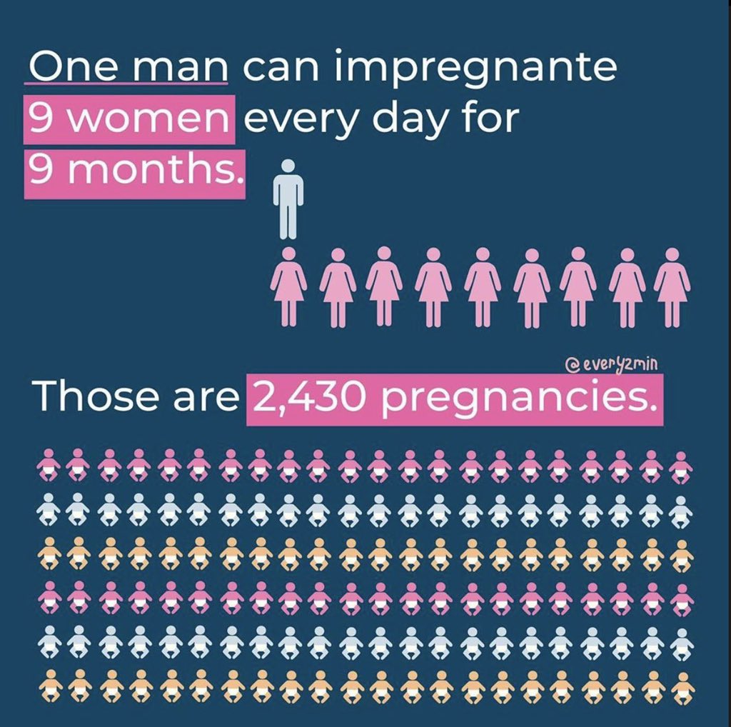 Zoya🕊️ tweet media