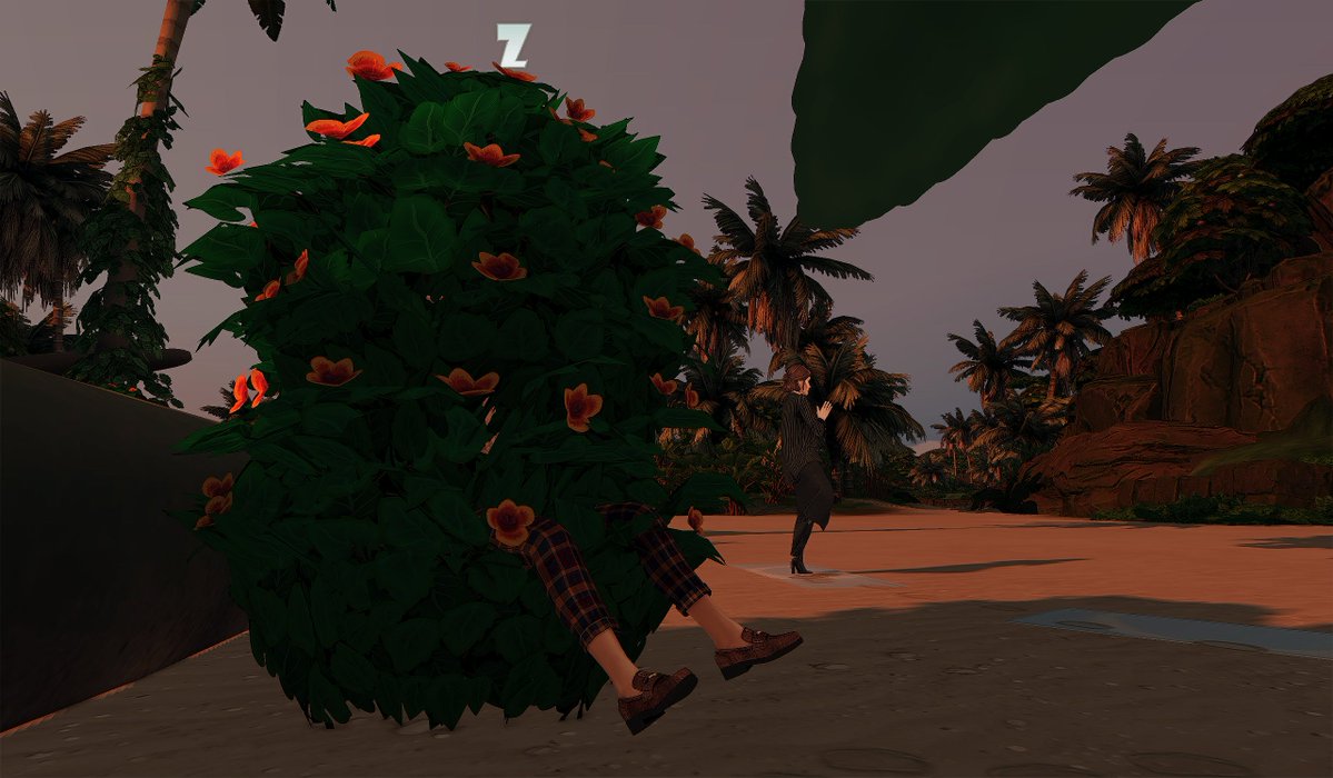 simafin in da house tweet media