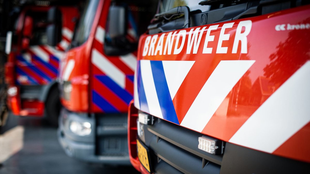 RaalteCity_ov's tweet image. Grote brand aan de Ampèrestraat in Raalte! 🚒 De brandweer is met veel materieel ter plaatse bij een metaalbedrijf. Heb je last van de rook? Sluit dan ramen en deuren en zet de ventilatie uit. Lees het artikel! 👇
#Raalte #Brand #112Overijssel 
raaltecity.nl/2026/04/17/gro…