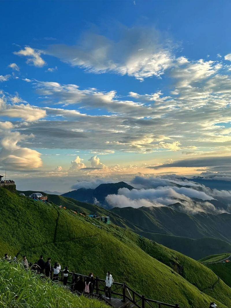 Aman Shrivastava tweet media