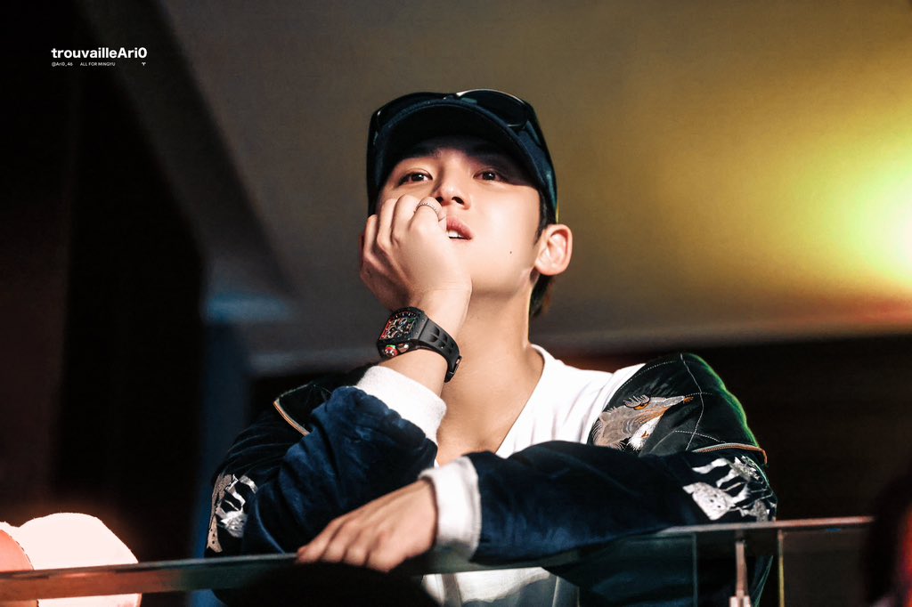 mingyu has no bad angles