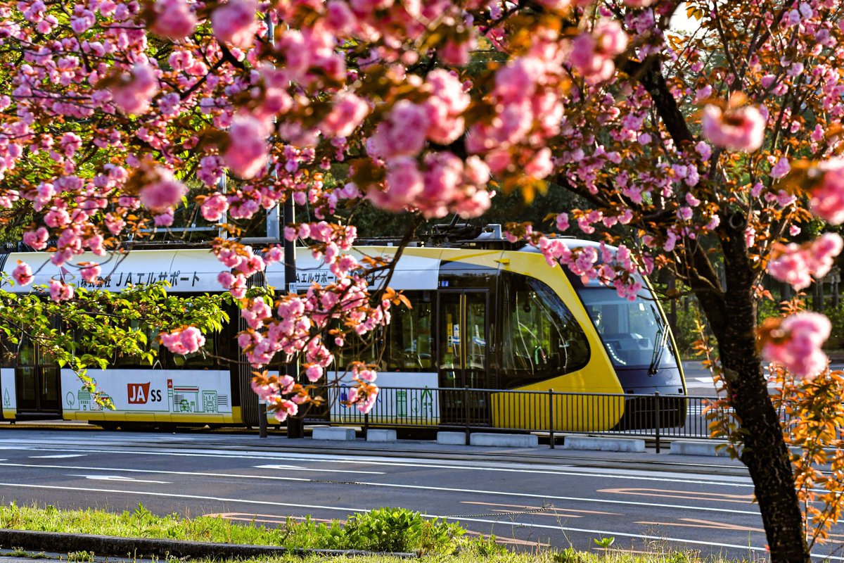 ニック tweet media