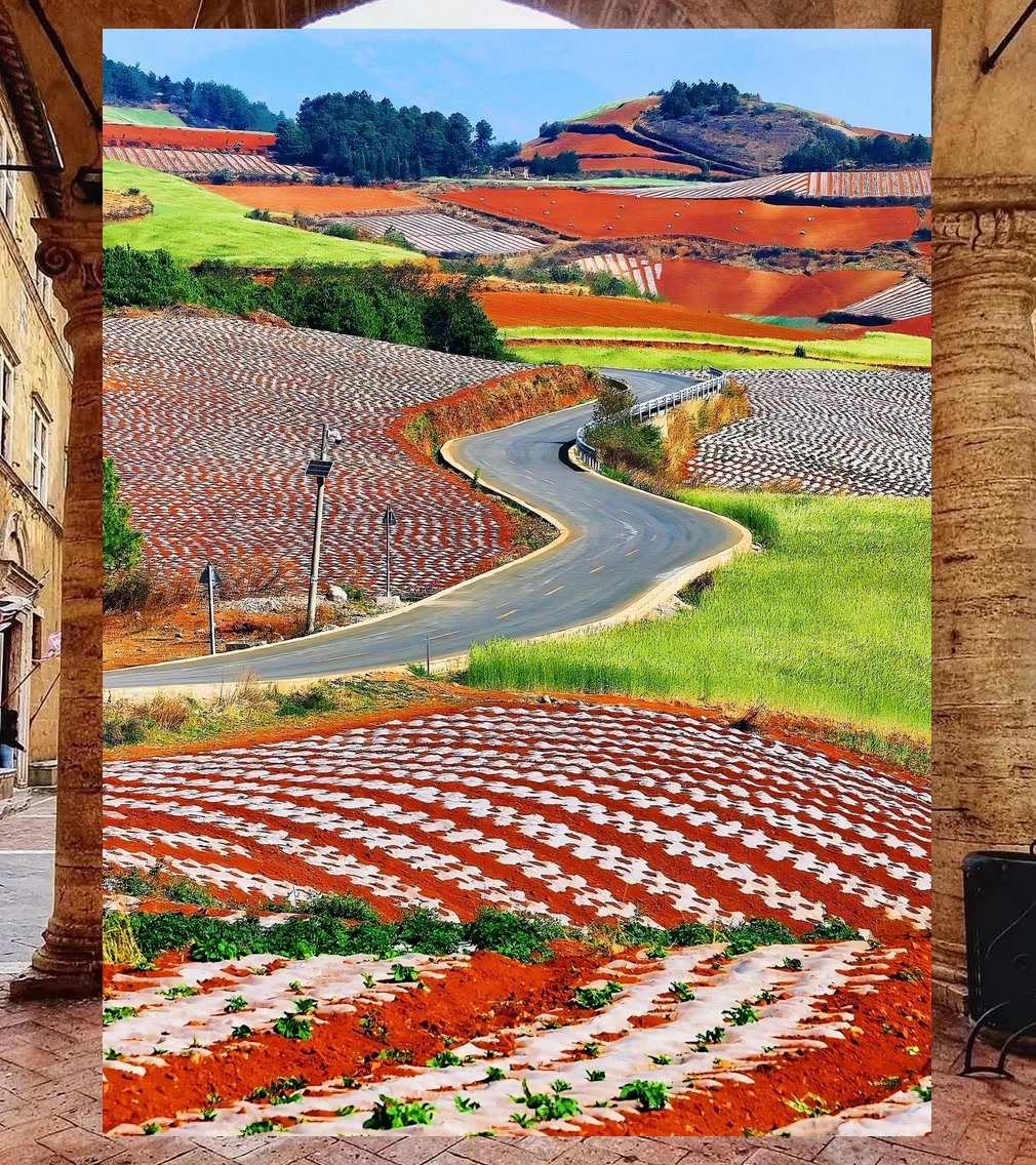 Bryan Castillo tweet media