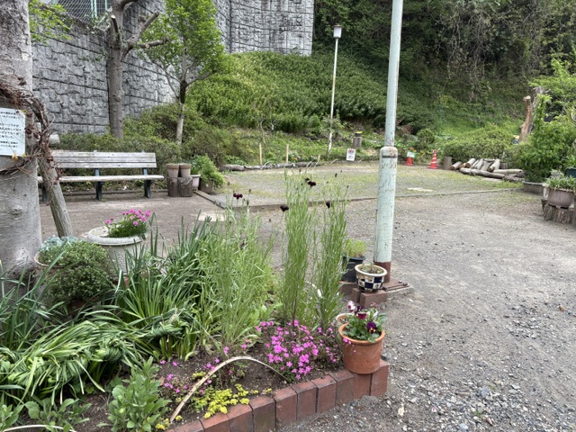 一本杉公園飼育係 tweet media