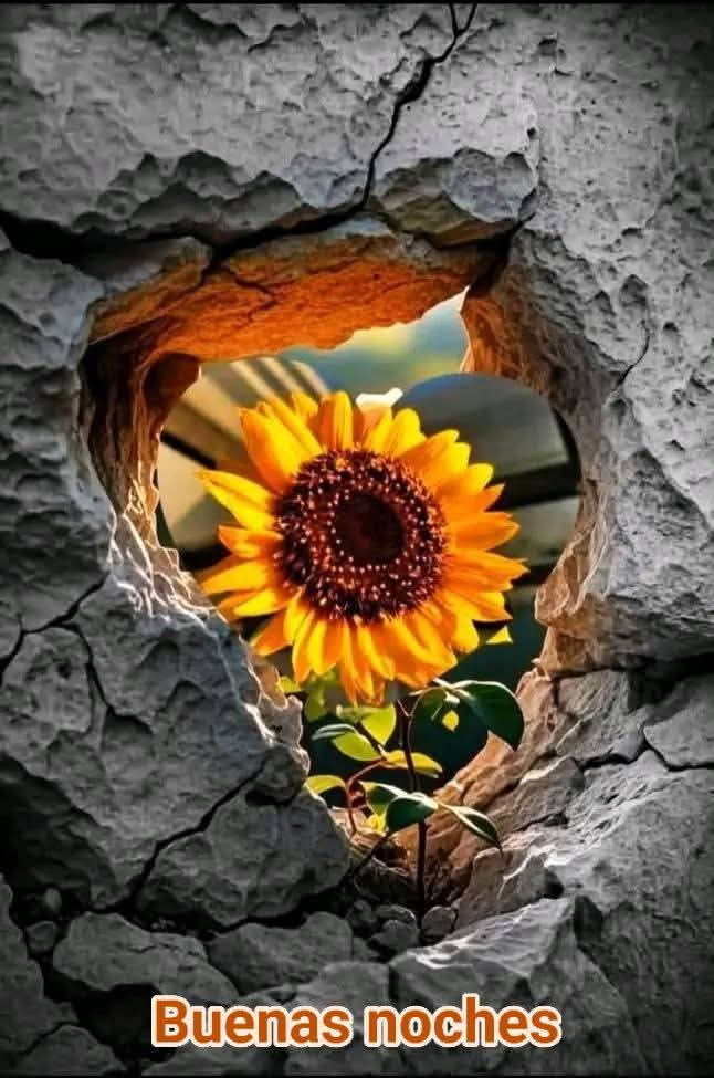 Marco Jaramillo tweet media