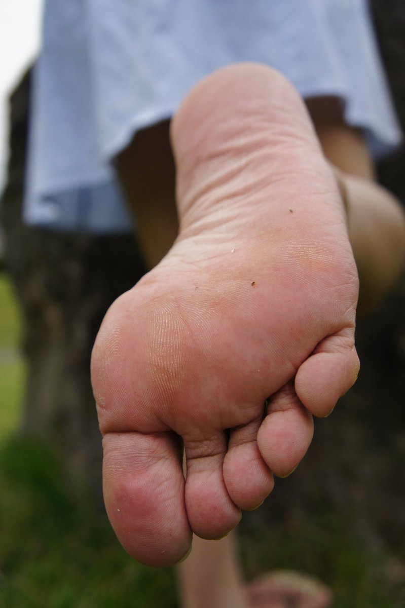 ゴッツ tweet media