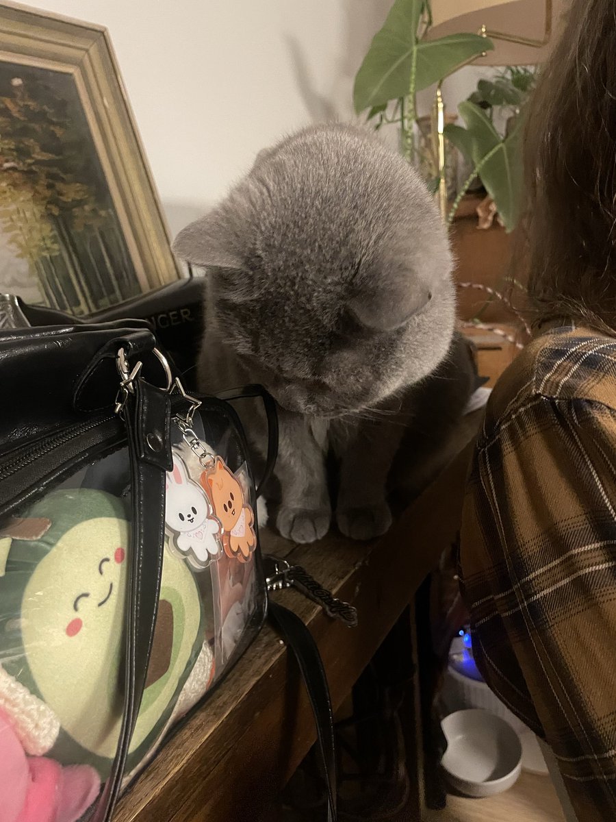 reni ☀️ tweet media