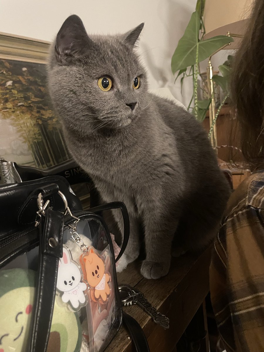 reni ☀️ tweet media