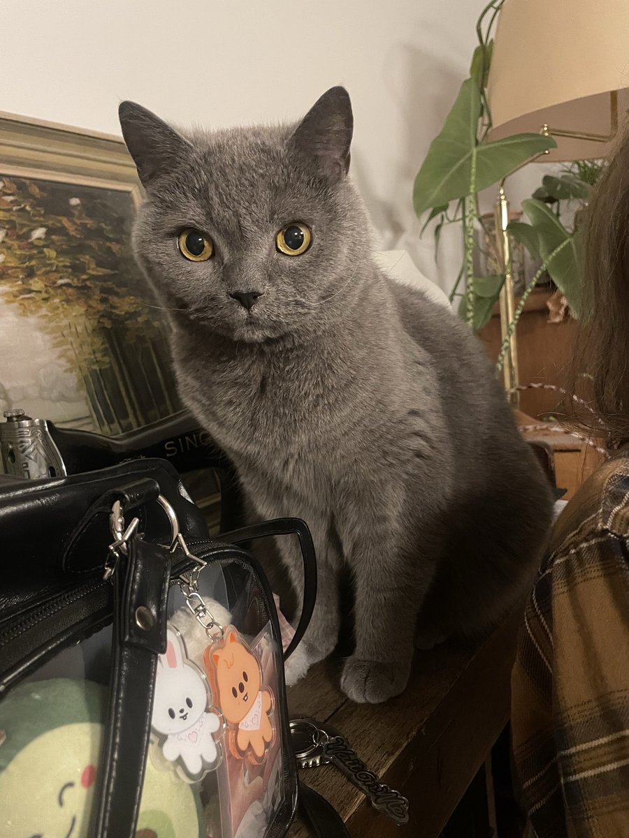 reni ☀️ tweet media