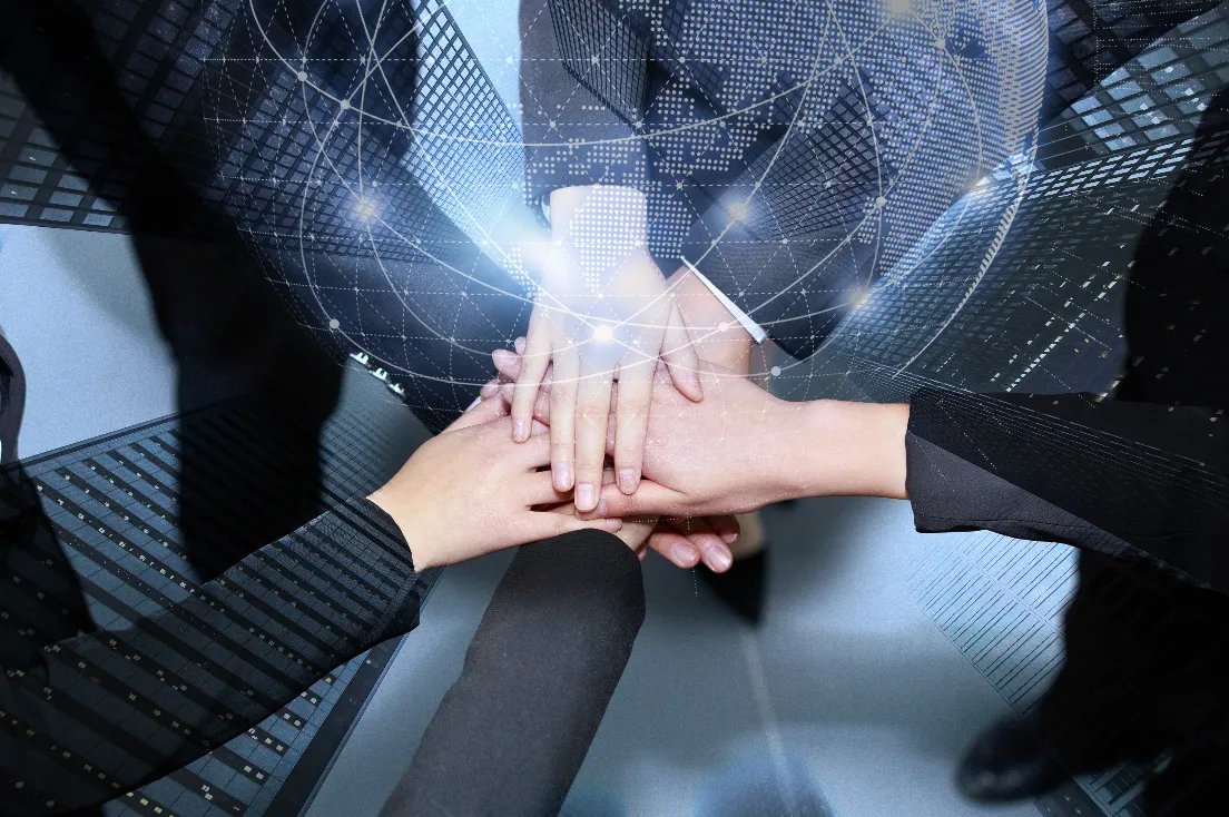 +558281509278 tweet media