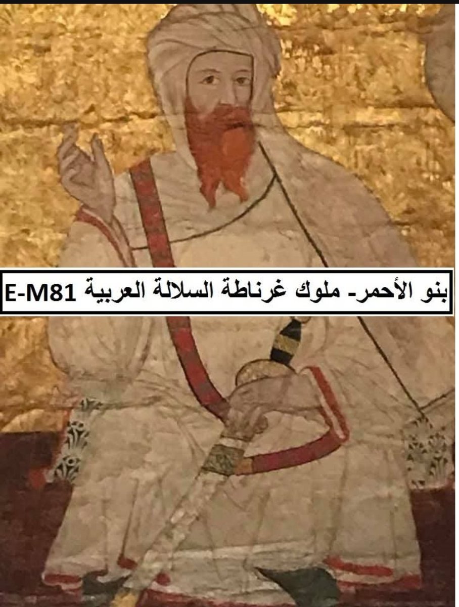 الهاشمي🇲🇦⚔️ tweet media