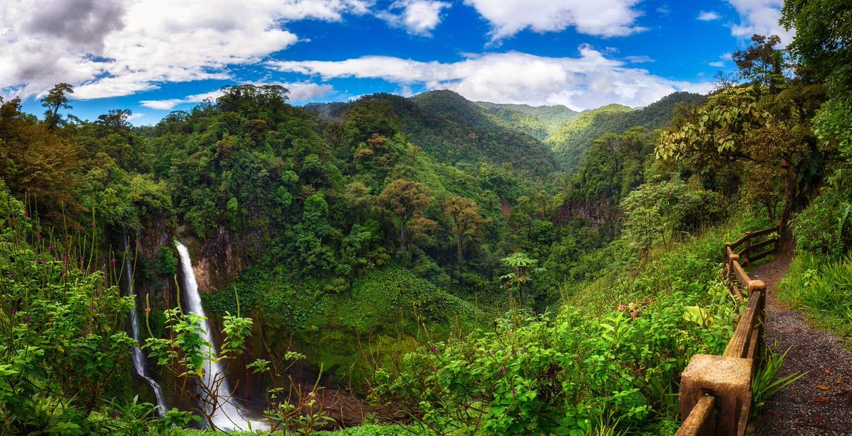 Give A Shit About Nature tweet media
