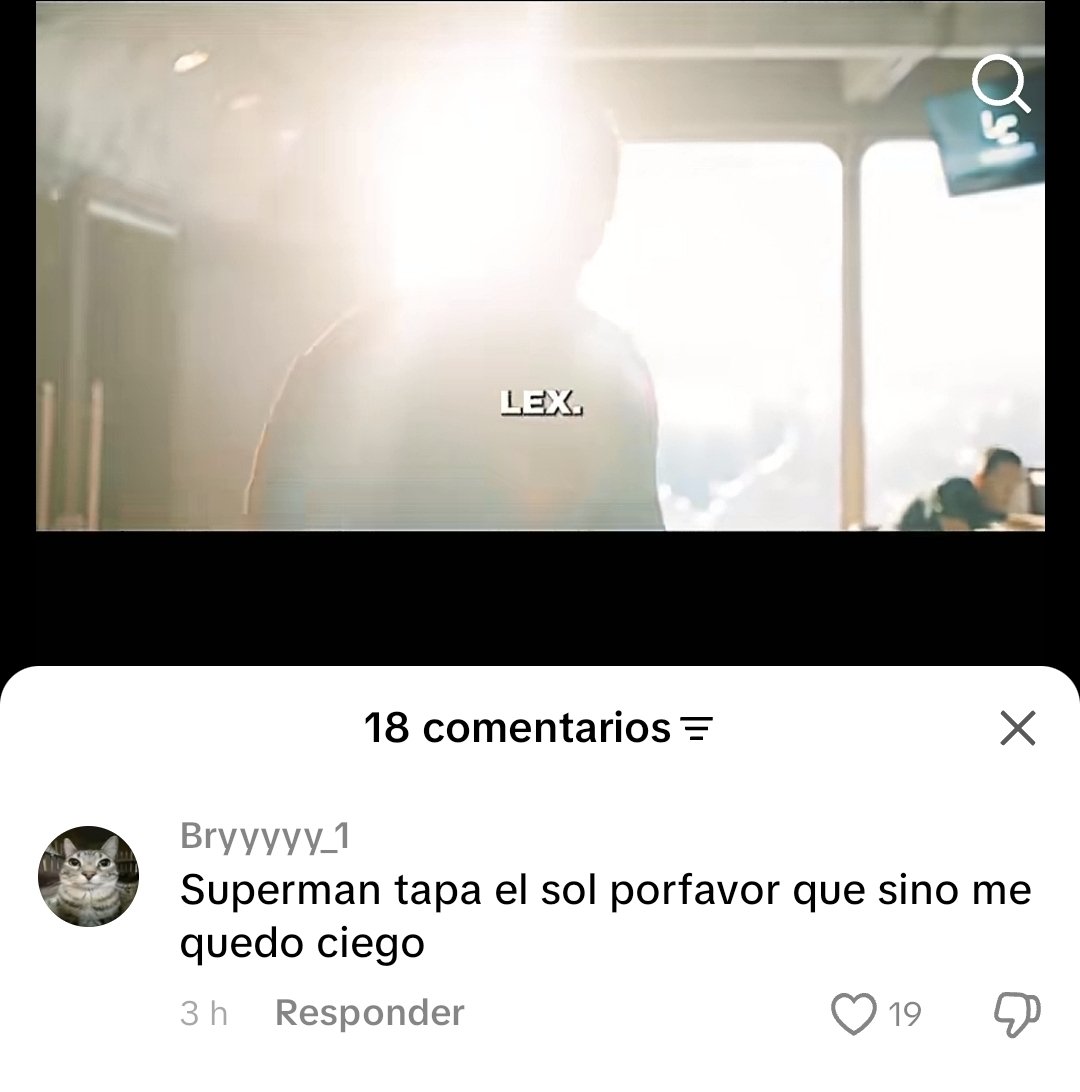 FEILEX ⚡️ tweet media