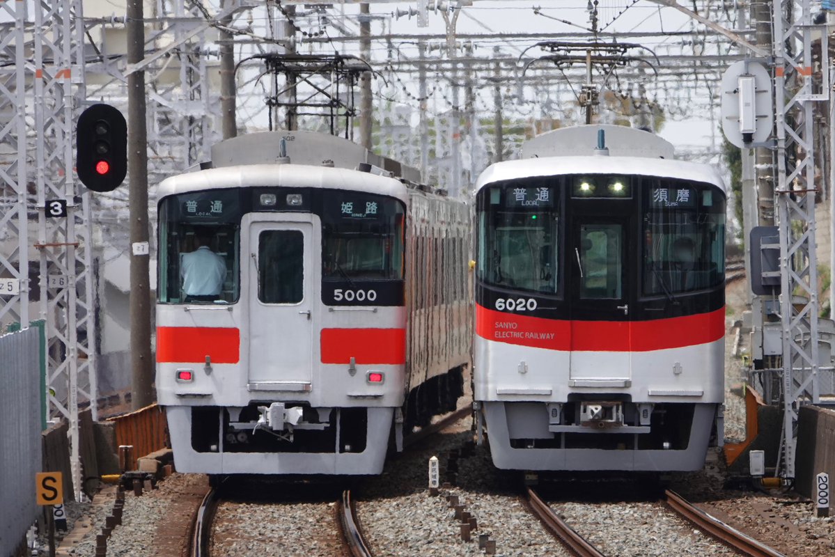 もちだんご tweet media