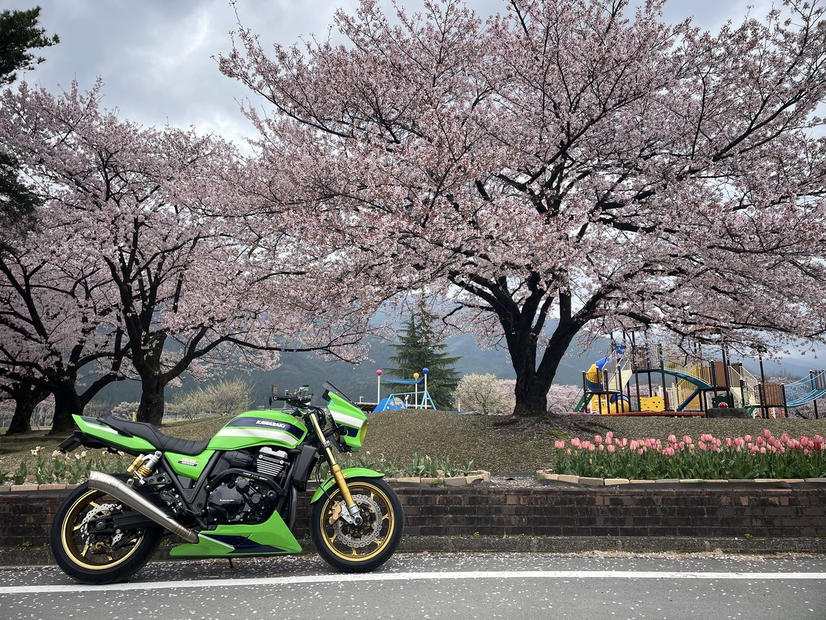 全身革ライダー3号 tweet media