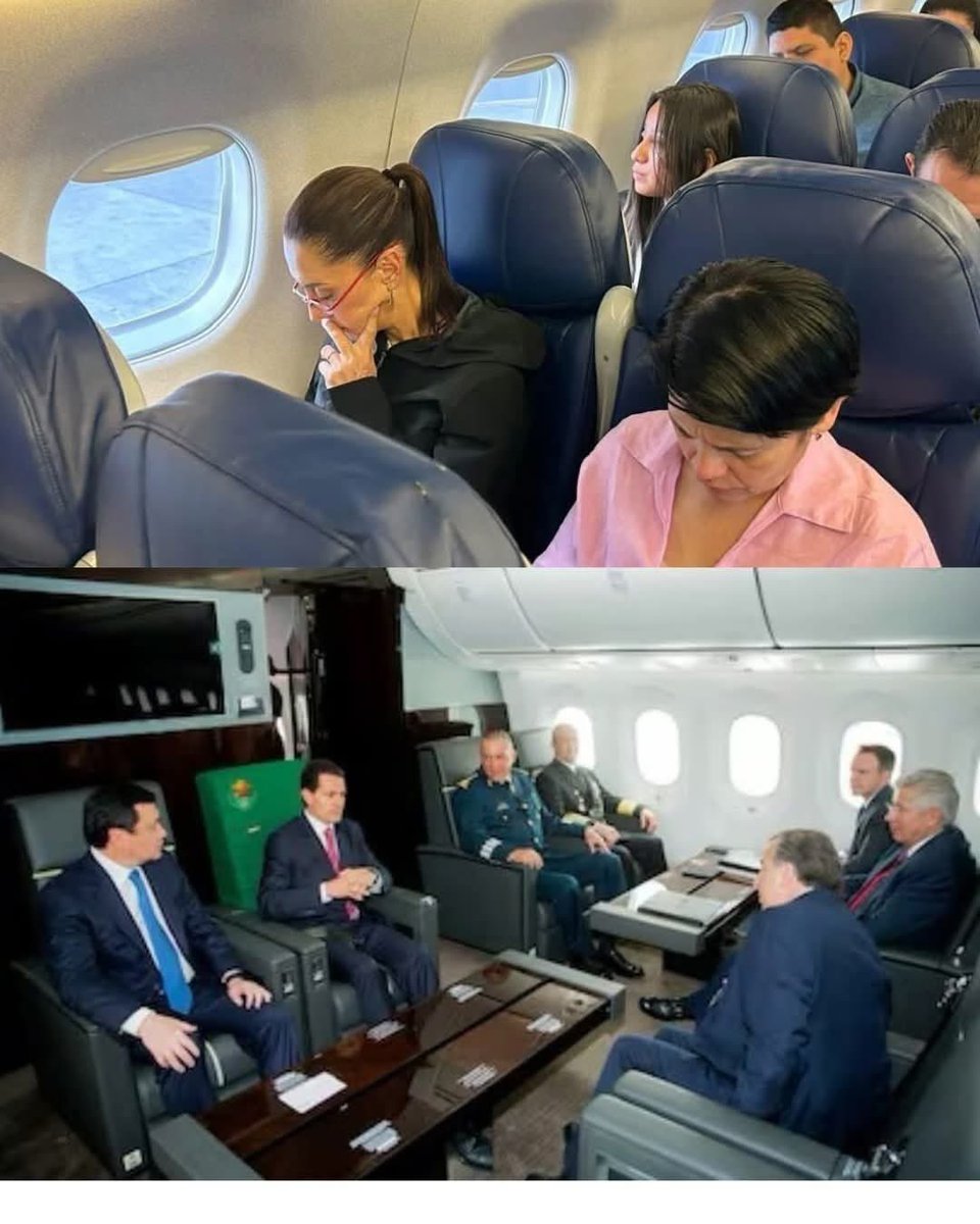 El Franky  tweet media