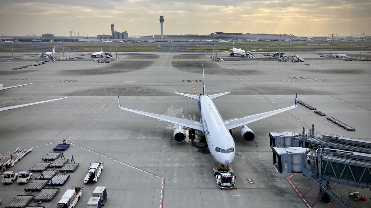 kura7sweet's tweet image. グレー鼻。
#HND #RJTT #NH #ANA #B763