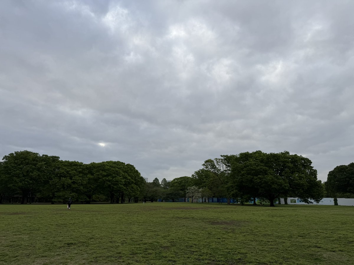 おはようございます