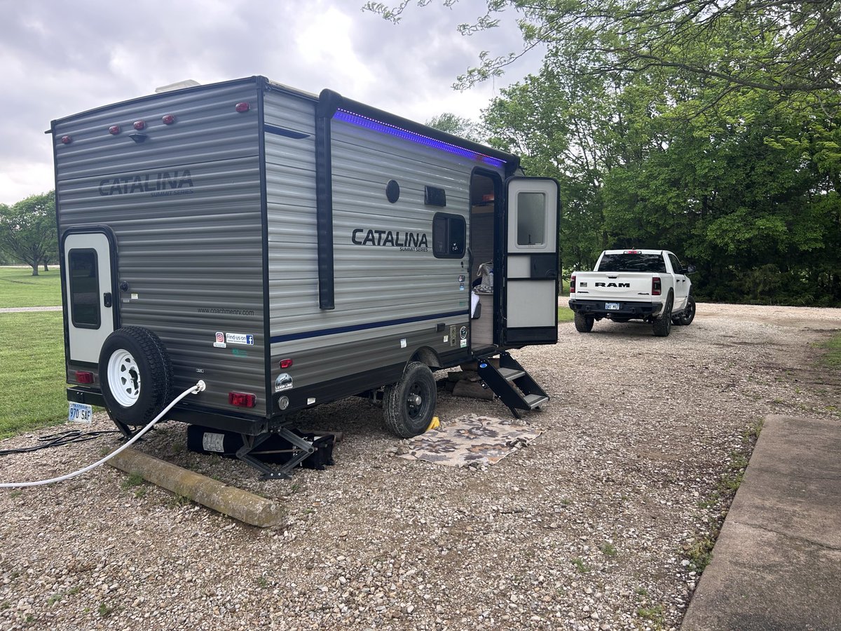 Tim Black tweet media