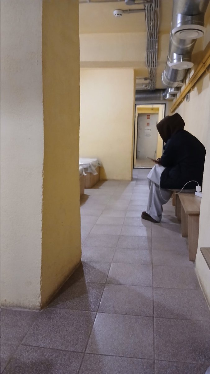 Пухнастий українобот 🇺🇦⚓️ tweet media