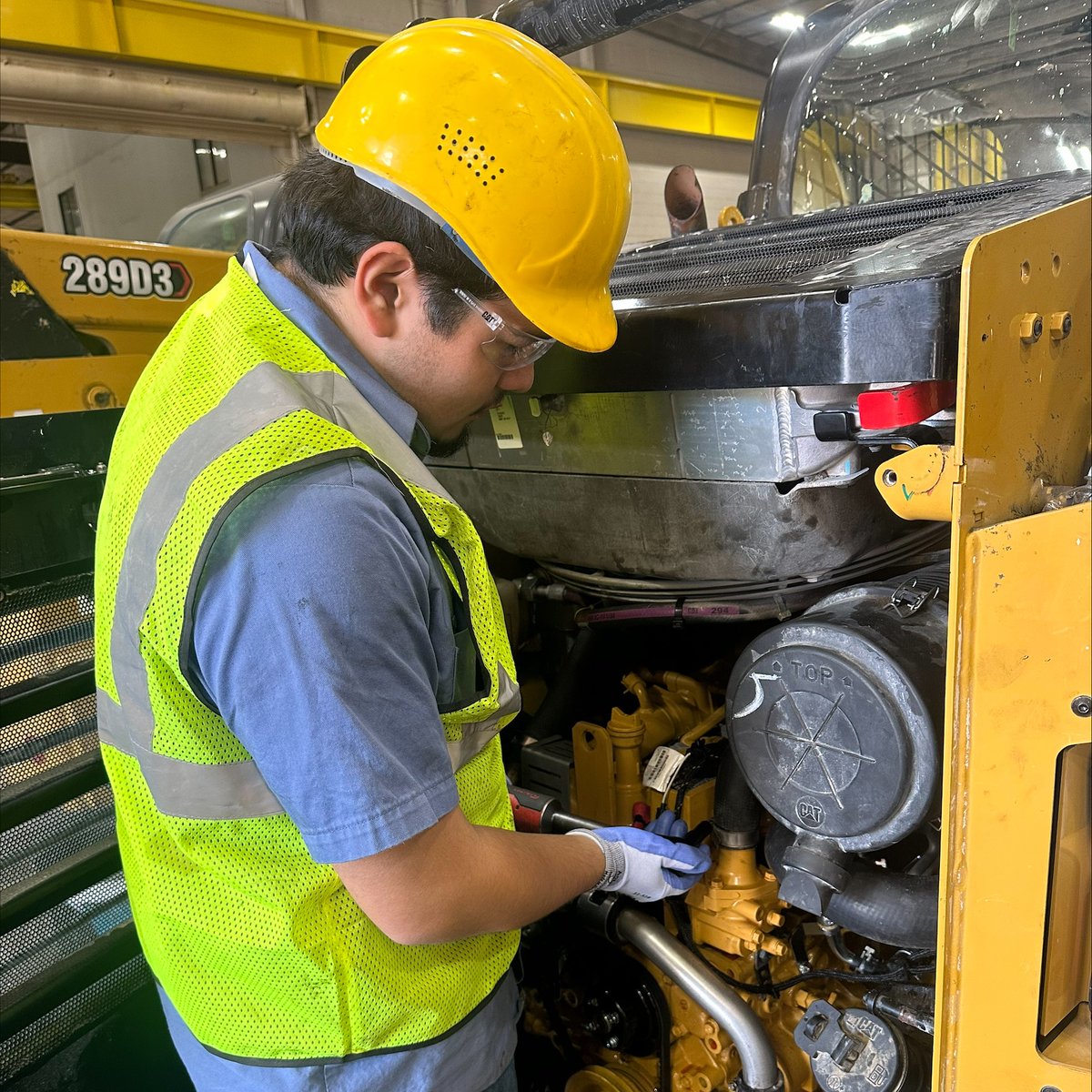 HOLT_CAT tweet media