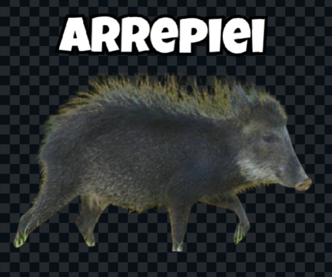 Cafajjjest tweet media