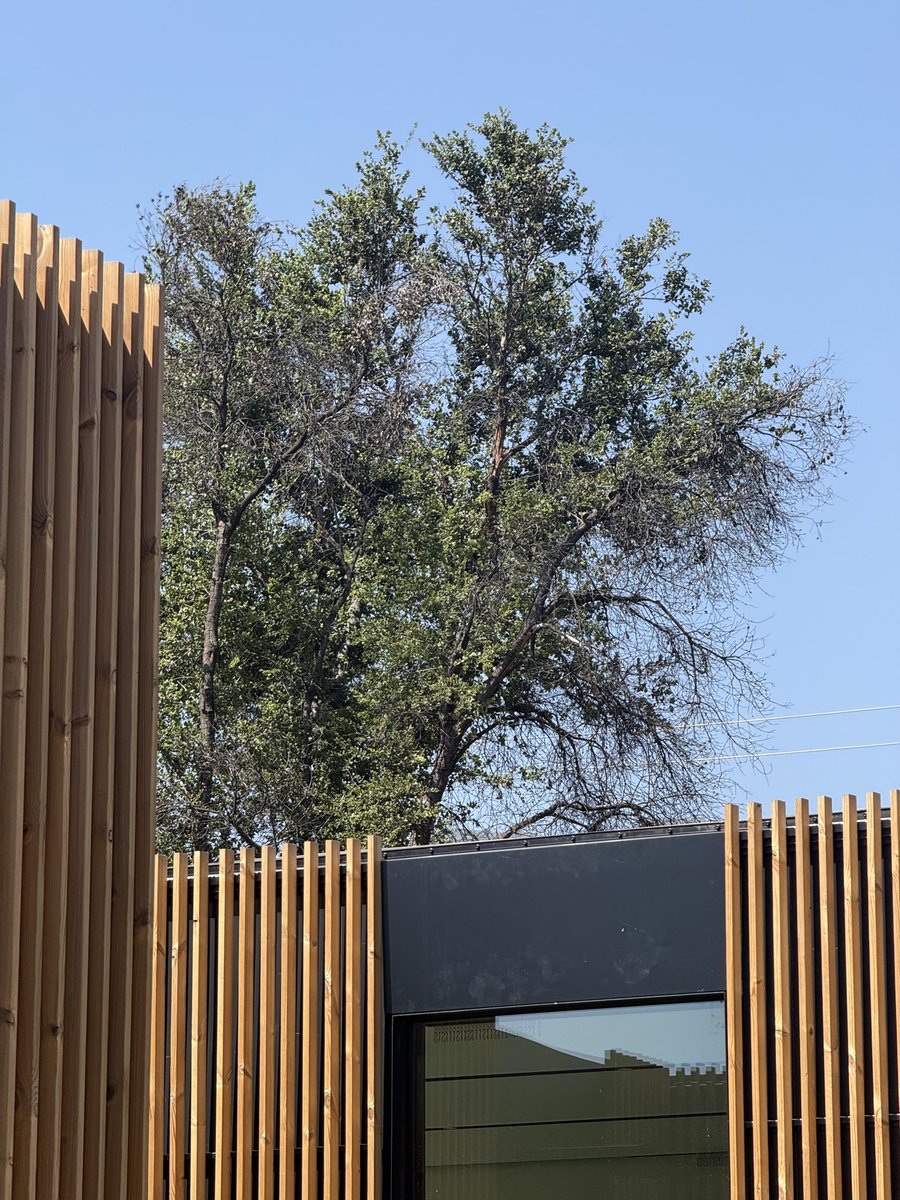 coverbuild's tweet photo. Sneak peak pics of our custom Altadena rebuild. https://t.co/bkTkYDABy4