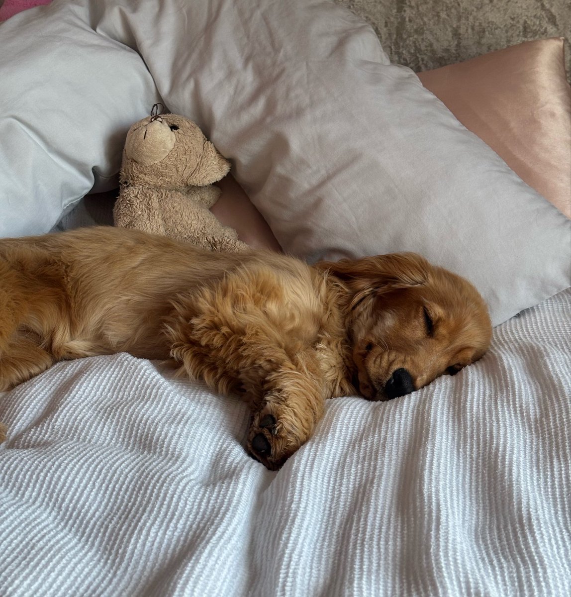 ✨🍒bbys0toxic🍒✨ tweet media