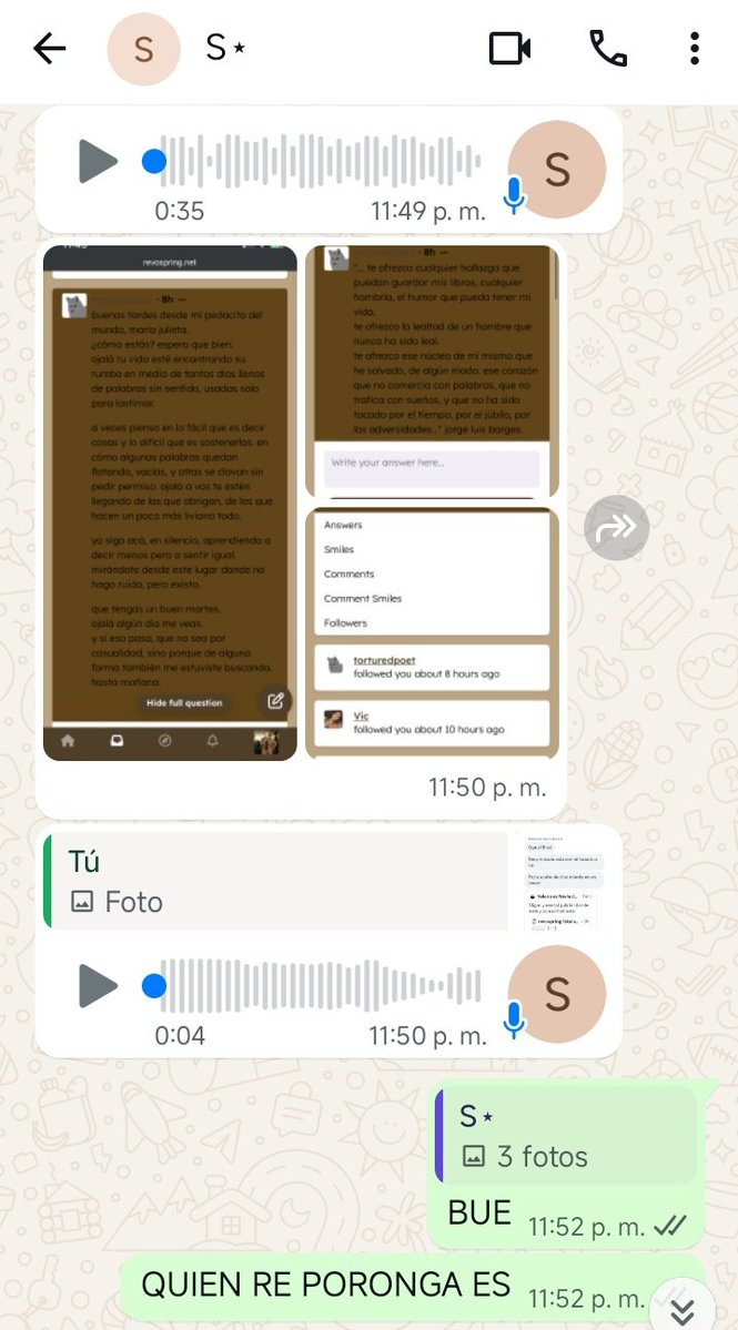 𝖬𝖺𝗑i. tweet media