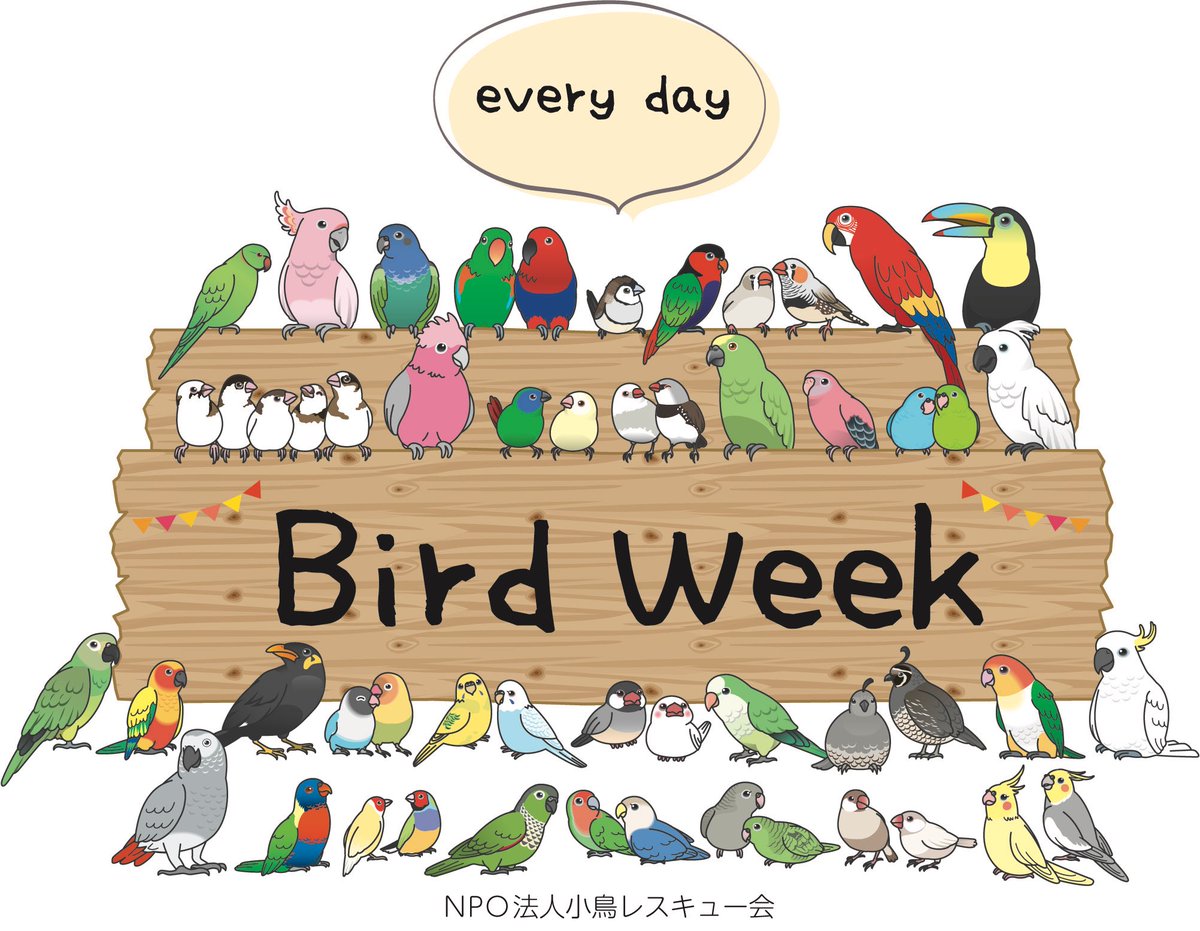 小鳥レスキュー隊の隊長 tweet media