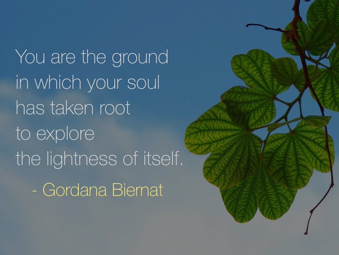 Spencer Rayner tweet media