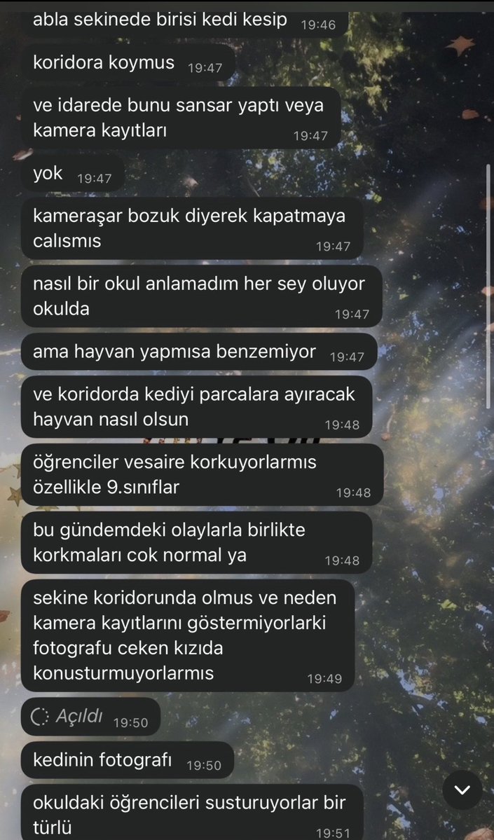 UzayMekanİnsan tweet media