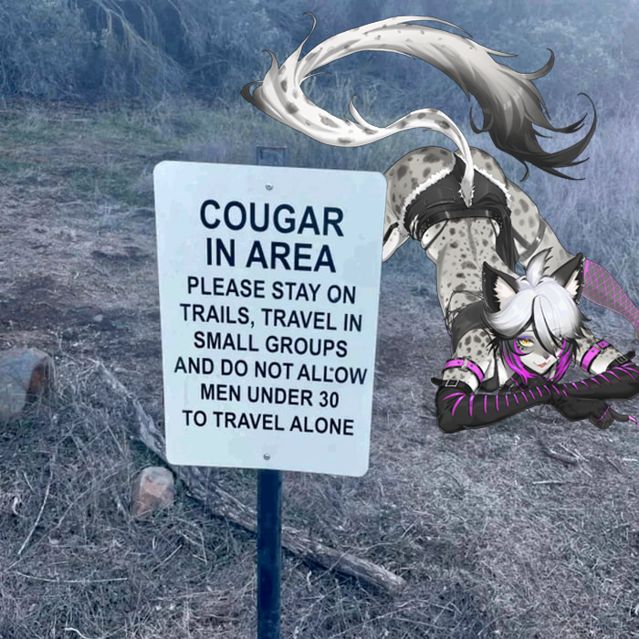 LunaYeena 🦴 🍖 Hyena Vtuber tweet media